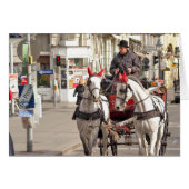 P3171014 (Front Horizontal)