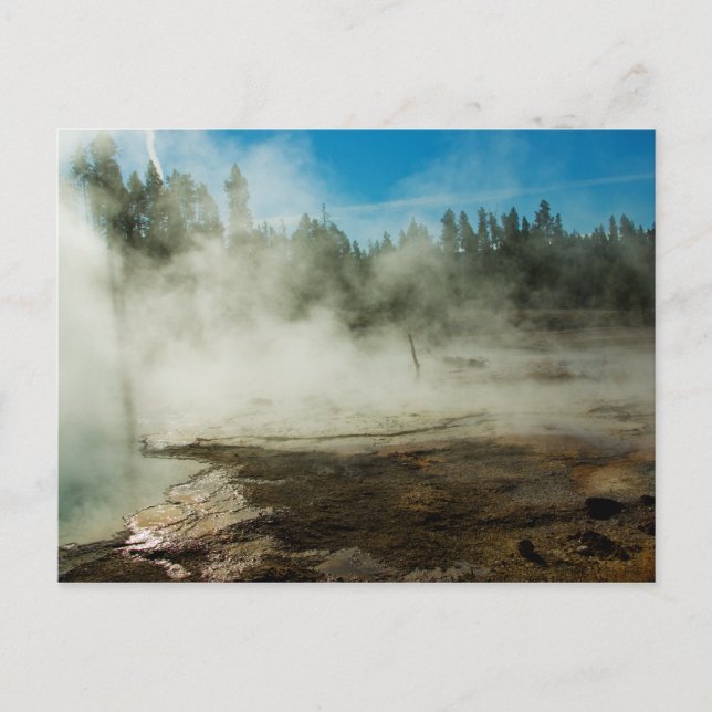 #P4027 Postcard (Front)