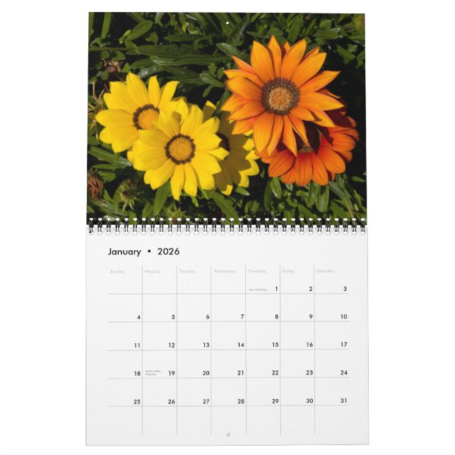 P4079331-LR-1, Flowers of the Southwest, 2008 Calendar (Jan 2026)