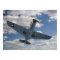 P40 Composite