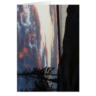 P4240029 CARDS