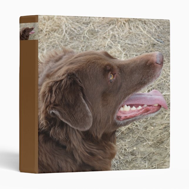 P4 Flatlandersam Profile Binder (Front/Spine)