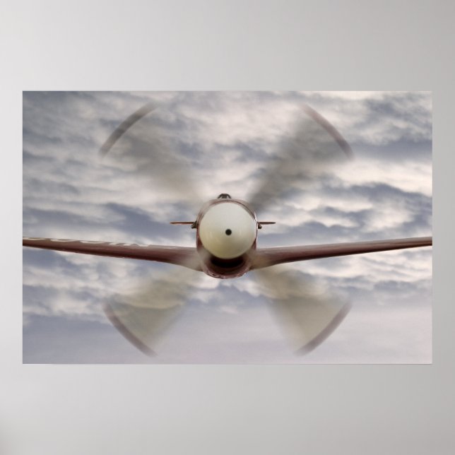 P51 Mustang Composite Poster (Front)