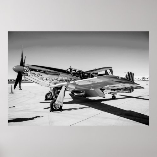 P51C Mustang WWII Fighter Plane Poster