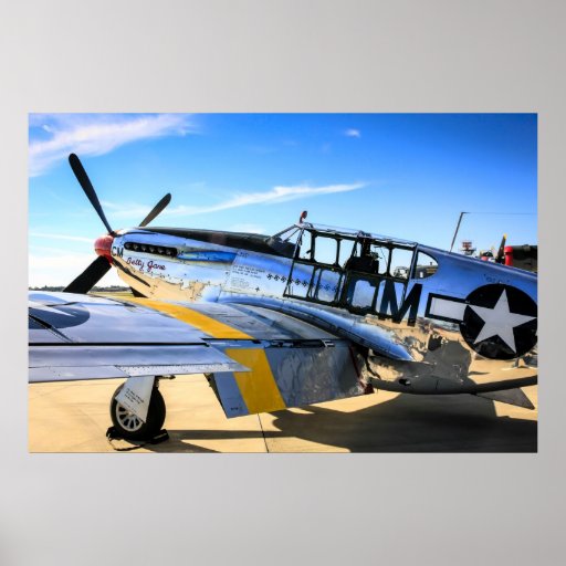 P51C Mustang WWII Fighter Plane Posters | Zazzle