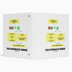 p53 Pathways Inside Cell Molecular Biology 3 Ring Binder