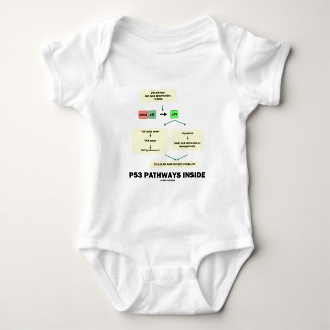 P53 Pathways Inside (Cell Molecular Biology) Baby Bodysuit (Front)