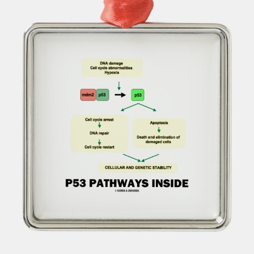 P53 Pathways Inside Cell Molecular Biology Metal Ornament