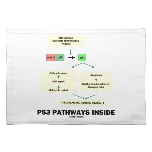 P53 Pathways Inside (Cell Molecular Biology) Placemat (Front)