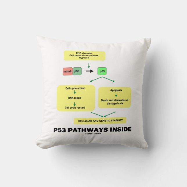 p53 Pathways Inside Cell Molecular Biology Throw Pillow (Front)
