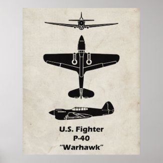 P-40 Warhawk Poster