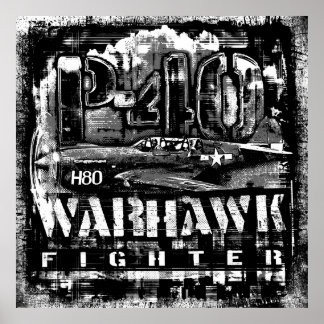 P-40 Warhawk Poster