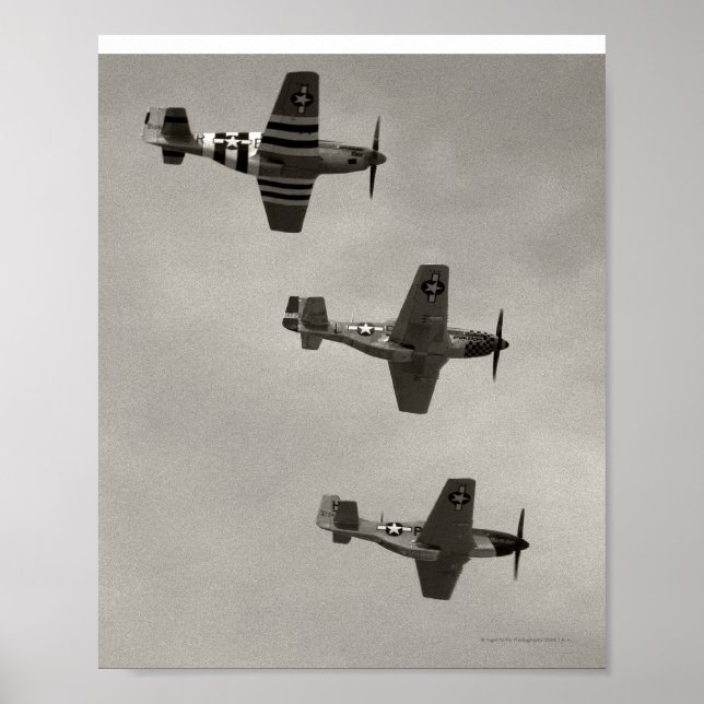 P-51 B and P51D Mustang Poster (Front)