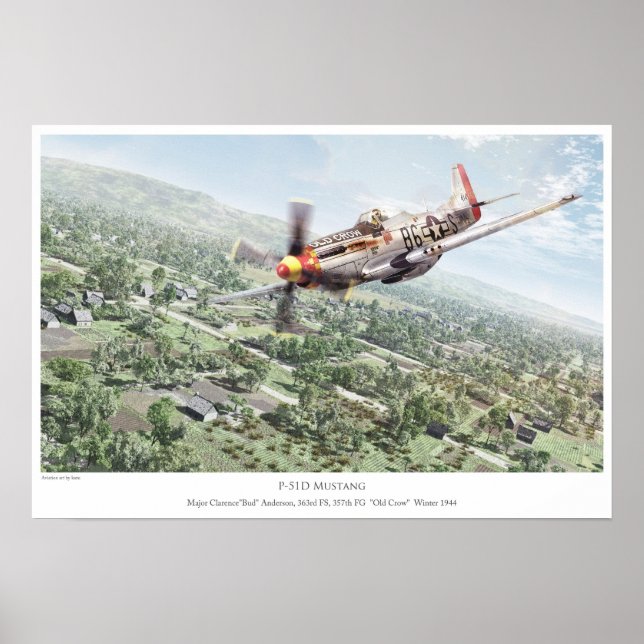 P-51D Mustang Poster (Front)