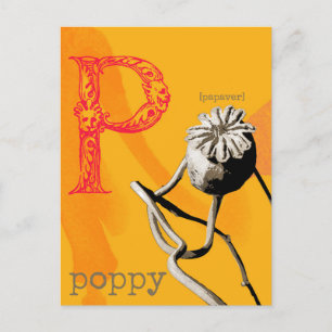 P is for Poppy Postcard