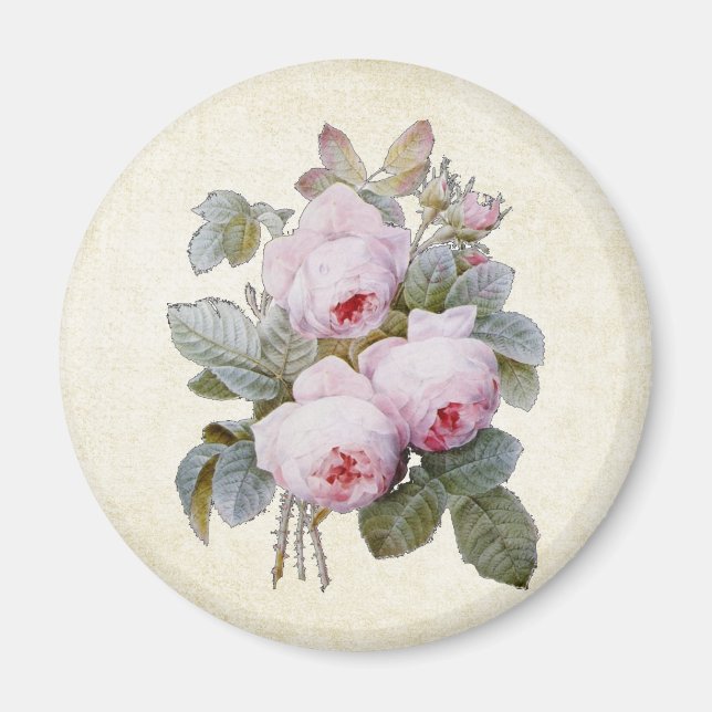P.J. Redoute Bourbon Rose Bouquet Magnet (Front)