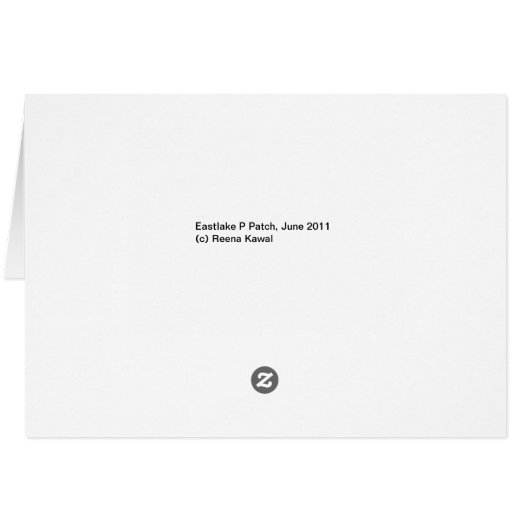 P Patch Bicycle (Back Horizontal)