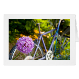 P Patch Bicycle Cards