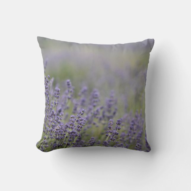 © P Wherrell Beautiful photo purple lavender field Throw Pillow (Front)