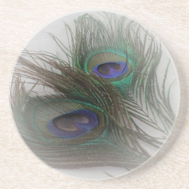© P Wherrell Contemporary trendy peacock feathers Drink Coaster (Front)