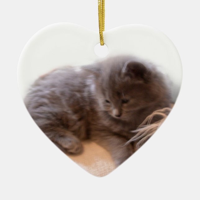 © P Wherrell Cute long haired grey kitten Ceramic Ornament (Front)