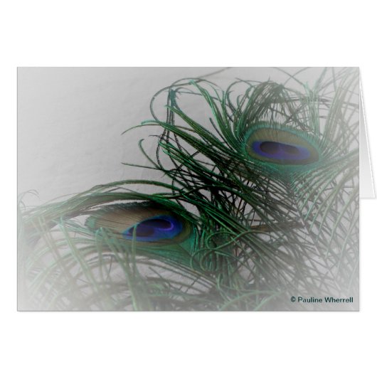 © P Wherrell Pale stylish peacock feathers Cards (Front Horizontal)