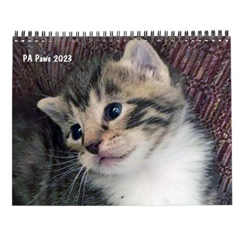 PA Paws 12 Month Personalized Calendar