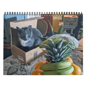 PA Paws 2025 12 Month Personalized Calendar