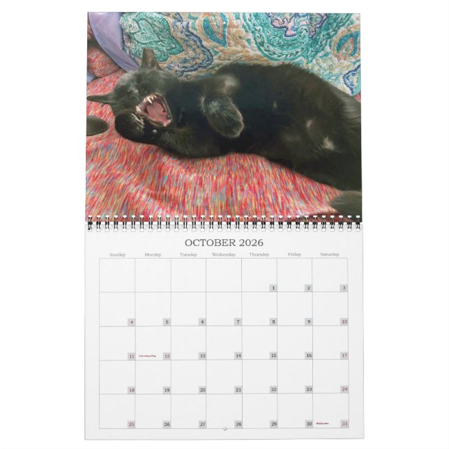 PA Paws 2 Year Calendar 2023-2024 (Oct 2026)