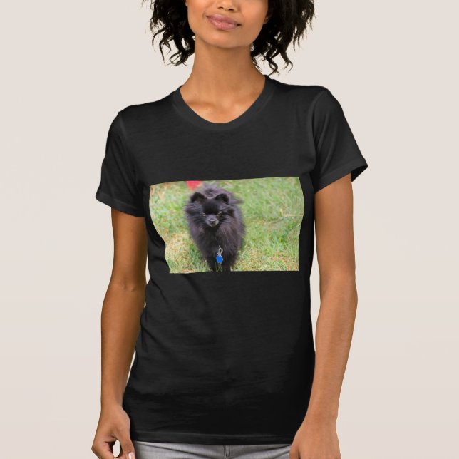Pablo the Pomeranian T-Shirt (Front)