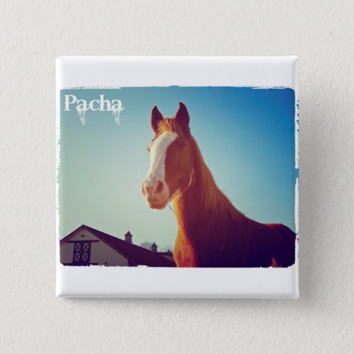 Pacha Deluxe Edition Button