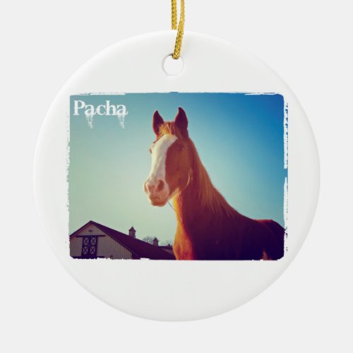 Pacha Deluxe Edition Mug Ceramic Ornament