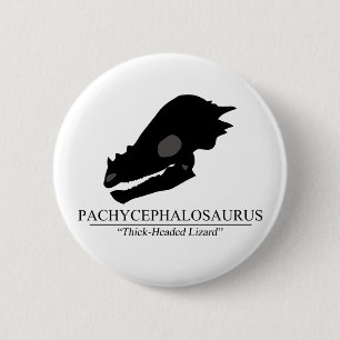 Pachycephalosaurus Skull Pinback Button