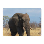 Pachyderm Invitation