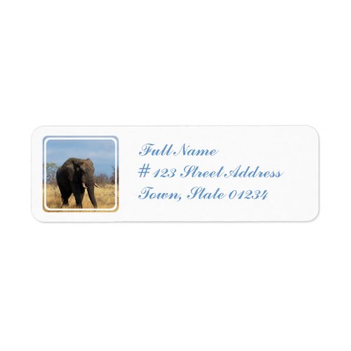 Pachyderm Mailing Label