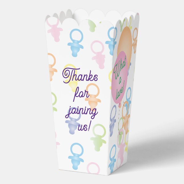 Paci Bunny Baby Shower Favor Boxes (Front)
