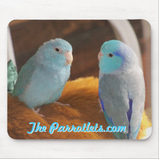 Pacific blue Parrotlets love birds mouse pad photo