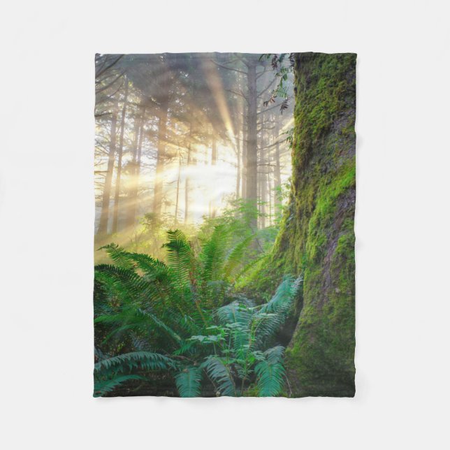 Pacific Coast Forest, Oregon Fleece Blanket (Front)