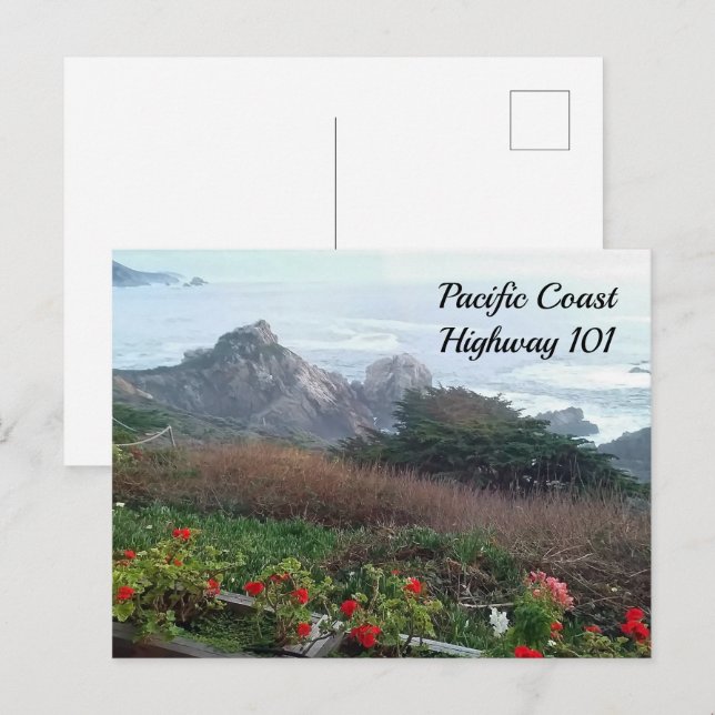 Pacific Coast Highway 101 California Postcard (Front/Back)