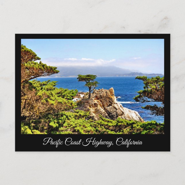 PACIFIC COAST HIGHWAY CALIFORNIA POSTCARD (Front)