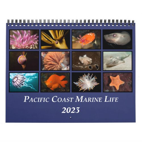 Pacific Coast Marine Life Calendar