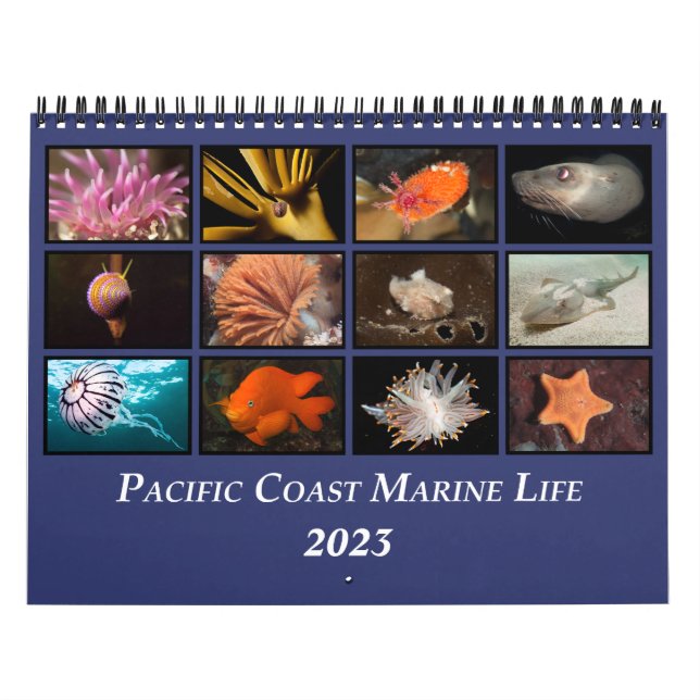 Pacific Coast Marine Life Calendar (Cover)