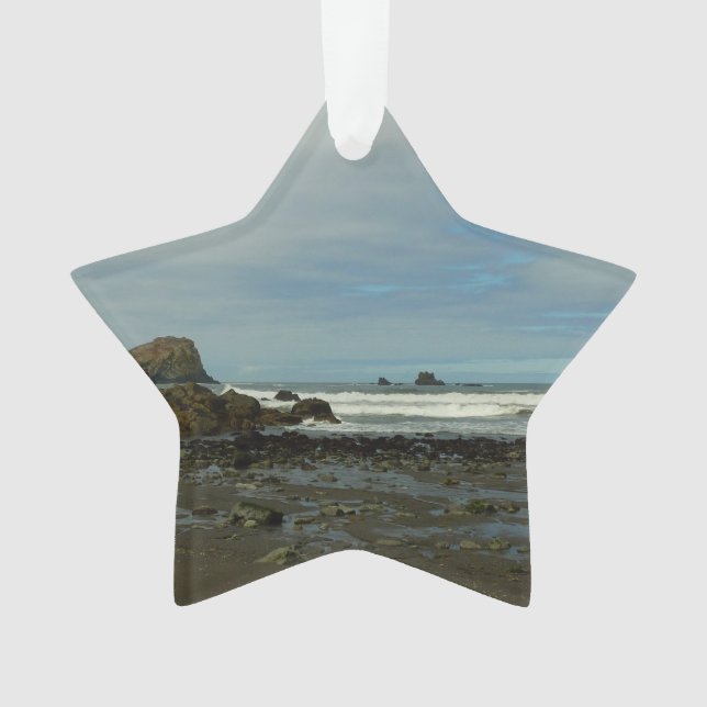 Pacific Coastline at Redwood National Park Ornament (Front)