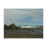 Pacific Coastline at Redwood National Park Postcard
