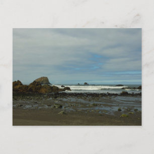 Pacific Coastline at Redwood National Park Postcard