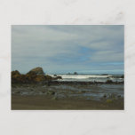 Pacific Coastline at Redwood National Park Postcard