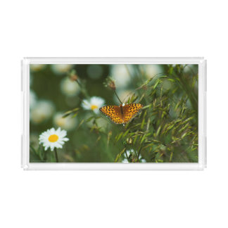 Pacific Fritillary Butterfly Acrylic Tray