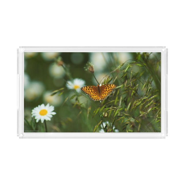 Pacific Fritillary Butterfly Acrylic Tray (Front)