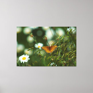 Pacific Fritillary Butterfly Canvas Print