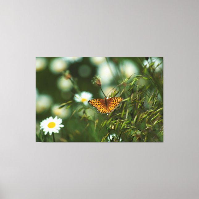 Pacific Fritillary Butterfly Canvas Print (Front)